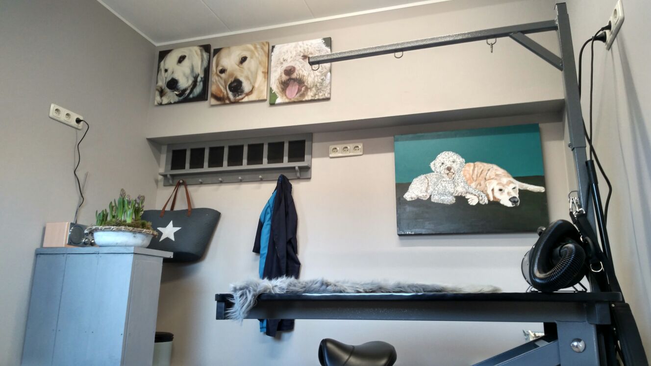 De salon: trimtafel met arm en föhn, drie geschilderde hondenportretten op de plank en een schilderij van twee honden aan de muur