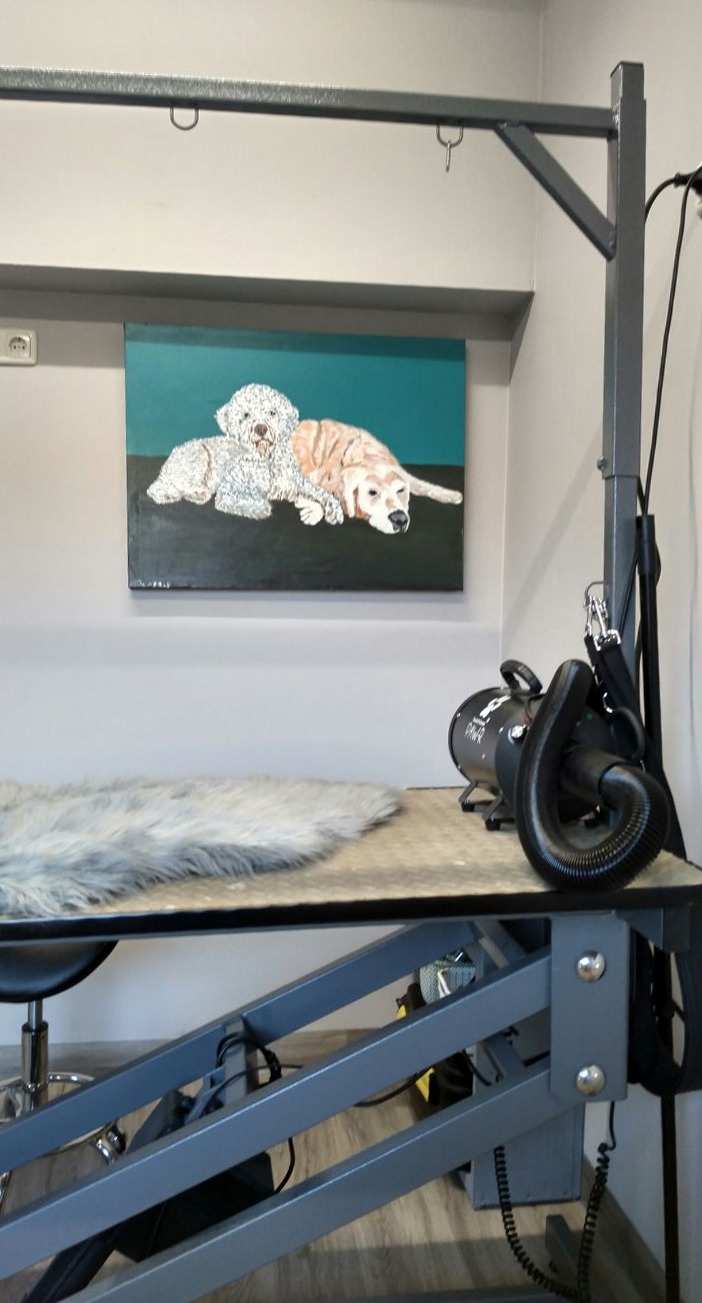 De trimtafel met föhn, onder een schilderij van twee honden op een tealkleurige achtergrond